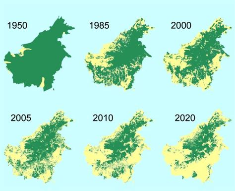 borneo deforestation map